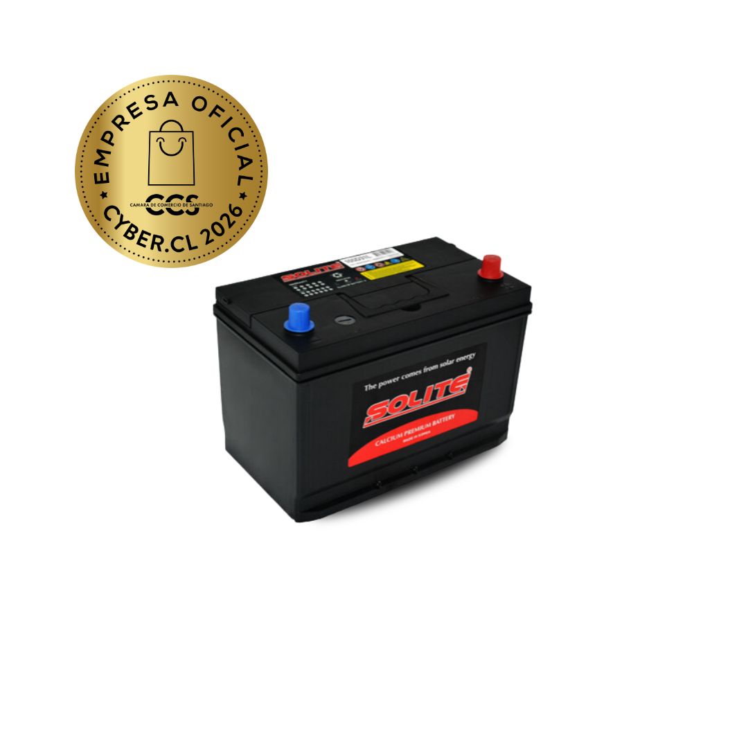 Solite 90 AH borne estándar + Der